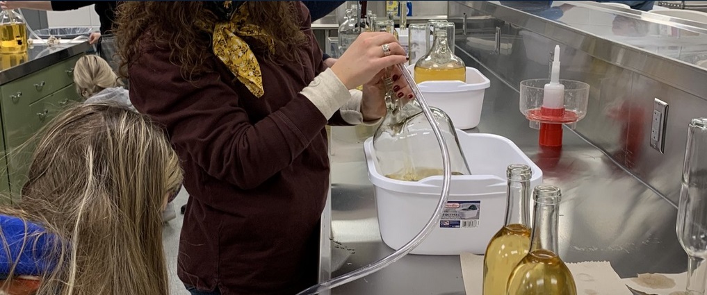 Student working in a lab.